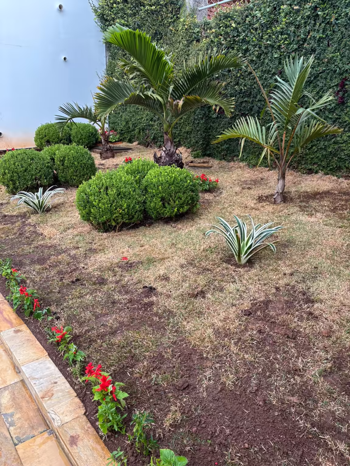 Jardim com palmeiras, arbustos e flores vermelhas criado pela Casa Green